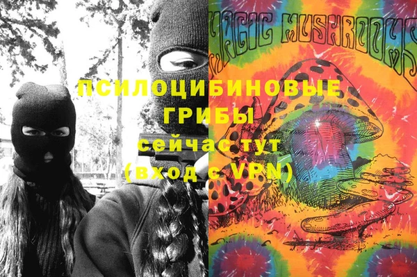 альфа пвп Богородицк