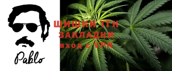молекула духа Богданович