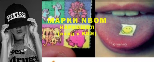 молекула духа Богданович