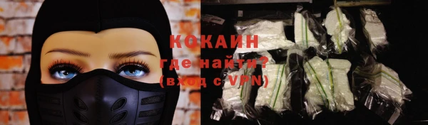 молекула духа Богданович