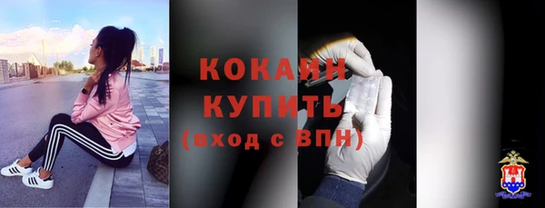 молекула духа Богданович