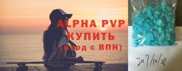 молекула духа Богданович