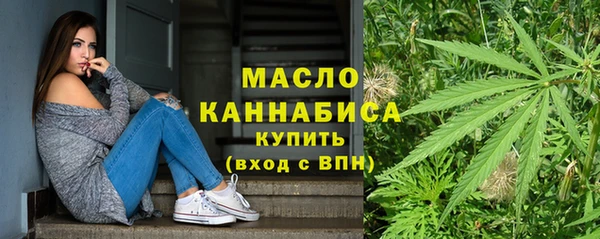 молекула духа Богданович