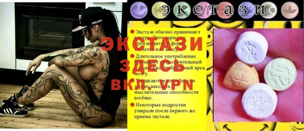молекула духа Богданович
