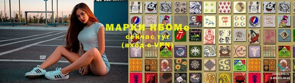 молекула духа Богданович