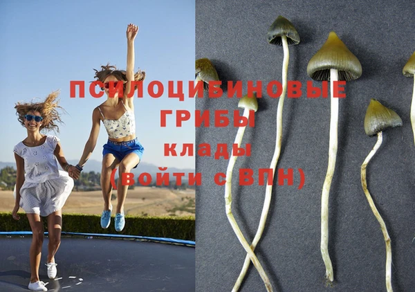 альфа пвп Богородицк