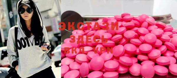 молекула духа Богданович